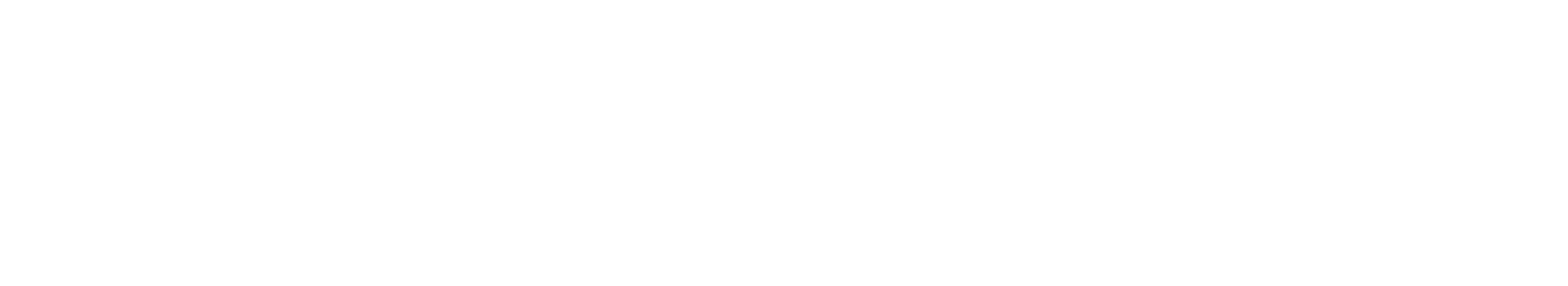 ZELAYA Logo